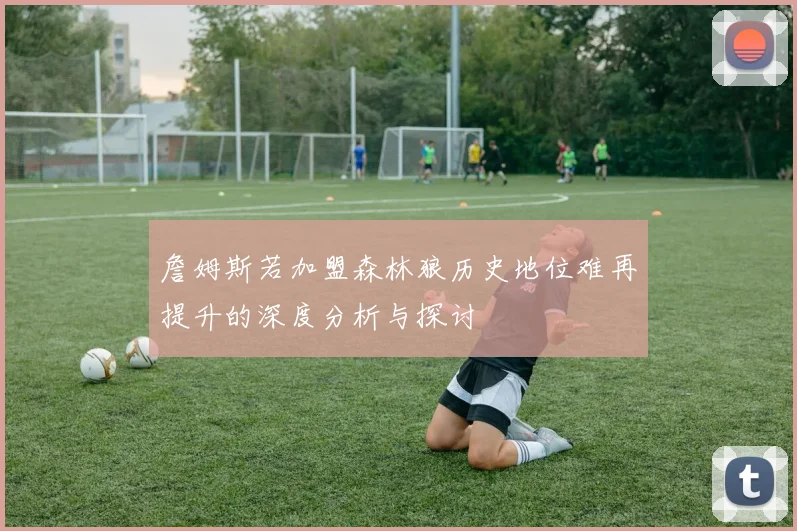 詹姆斯若加盟森林狼历史地位难再提升的深度分析与探讨