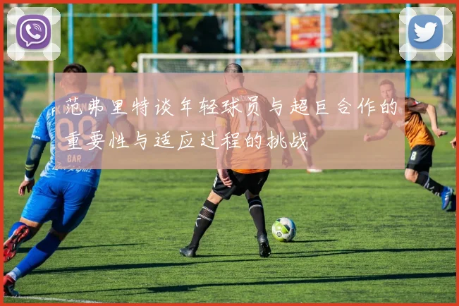 范弗里特谈年轻球员与超巨合作的重要性与适应过程的挑战